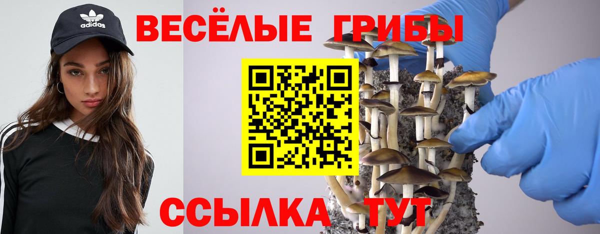 Псилоцибиновые грибы MAGIC MUSHROOMS Кохма