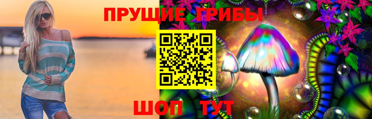 Кохма  Псилоцибиновые грибы Magic Shrooms  Вход с VPN 